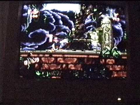 Maui Mallard Cold Shadow Level 2 PC Ninja Training Grounds