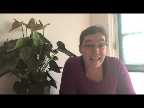 Historietimen 8 - Smukke nye salmer