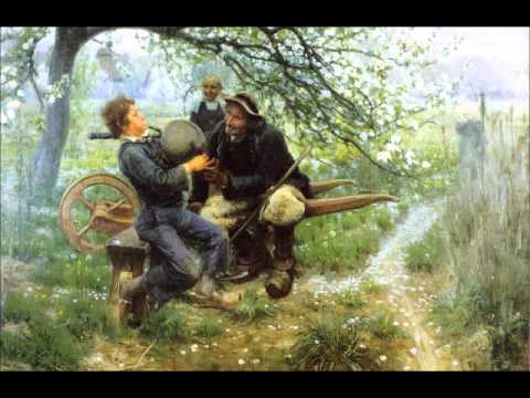 The Piper In The Meadow Straying (trad. Irish), mandolin guitar duet