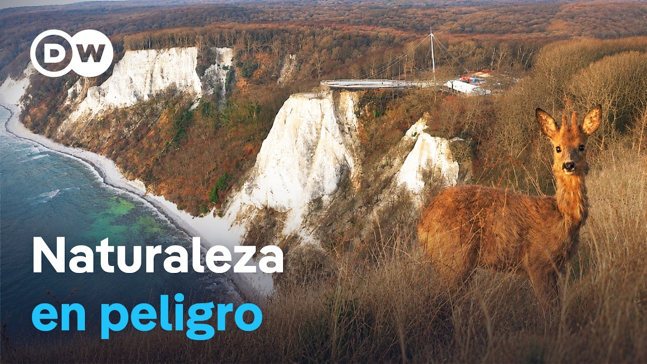 La isla de Rügen y la marea turística | DW Documental