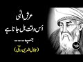 RUMI | Spiritual Sufi Mystic Words | Adab