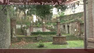 preview picture of video '2012-2013 Puntata #10 - Caldarola - Caccia e Cinofilia'