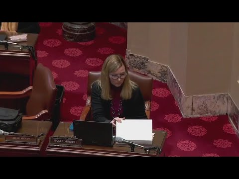Amid calls for resignation, how Sen. Nicole Mitchell could lose her Senate seat