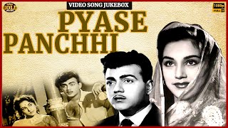Download lagu Ameeta, Mehmood -  Pyase Panchhi 1961 Movie Video Songs Jukebox -  (HD) Hindi Old Bollywood Songs mp3