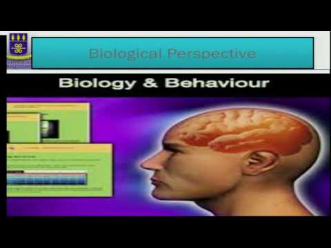 PSYC 101: SESSION 5 - THEORETICAL PERSPECTIVES 1