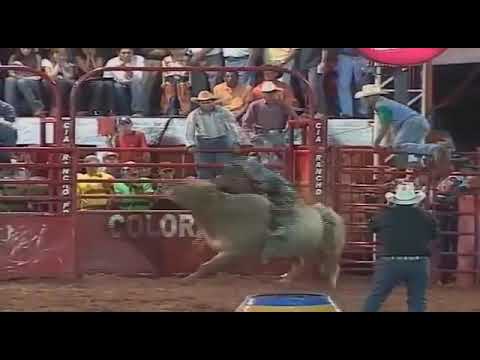 Sérgio Alves vs Desordeiro Cia. Rancho Primavera (Rogério Paitl)
