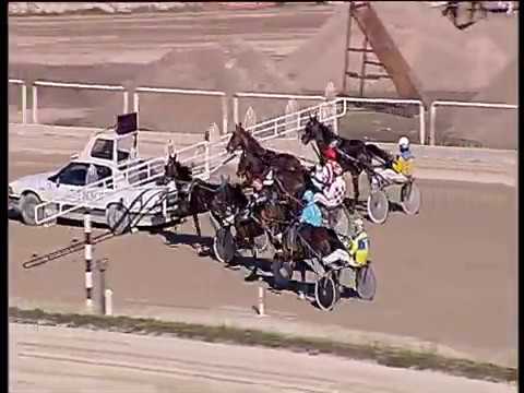 Trotto 31/12/2019 - prova di qualifica