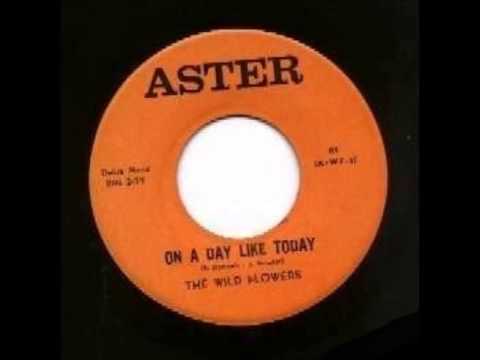 The Wild Flowers - On A Day Like Today