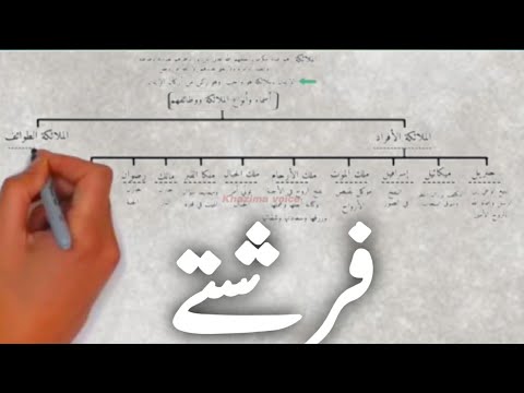 Family Tree Of Angel's | The most popular Angel's |  Jibrail, Arham, Rizwan, What's There's duties