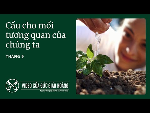 Ý cầu nguyện tháng 9/2025: Cầu cho mối tương quan của chúng ta với toàn thể thụ tạo