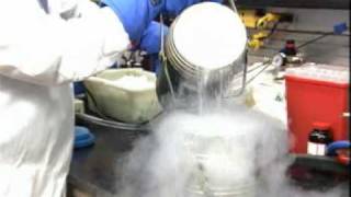 Hazardous Materials Removal Workers - Career Profile
