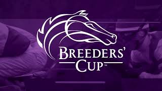 Breeders' Cup's Betting 101: Exacta, Trifecta, & Superfecta