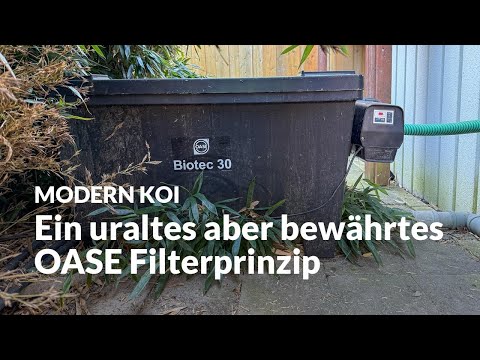 A nearly 30-year-old OASE Biotec 30 | Modern Koi Blog #7349