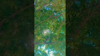 Download lagu MP3 hindi songs DJ remix download #mp3 #dj #djremix #download mp3 Download lagu MP3 hindi songs DJ remix download #mp3 #dj #djremix #download mp3