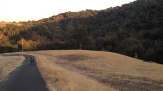 2014-08-04 Wild animals in Rancho San Antonio 1