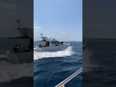 Della Pasqua & Carnevali DC 9