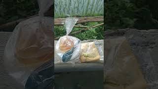 Download lagu sarapan dipinggir sawah sambil lihat matahari terbit π #short #shorts #youtubeshorts mp3 Download lagu sarapan dipinggir sawah sambil lihat matahari terbit π #short #shorts #youtubeshorts mp3