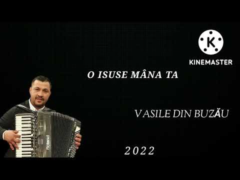 Vasile Din Buzău - O Isuse Mâna Ta ( Cover )