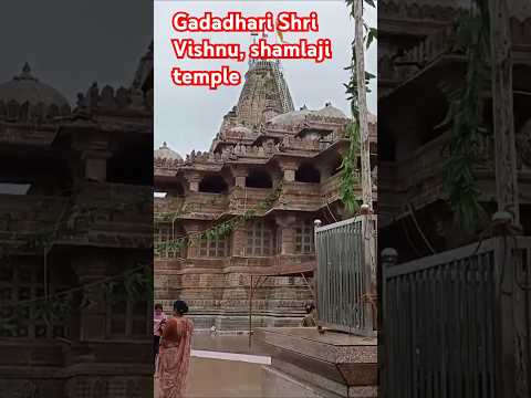 Gadadhari Shri Vishnu Temple| Shamlaji #viralvideo #travel #ytshorts #vlog #shortvideo