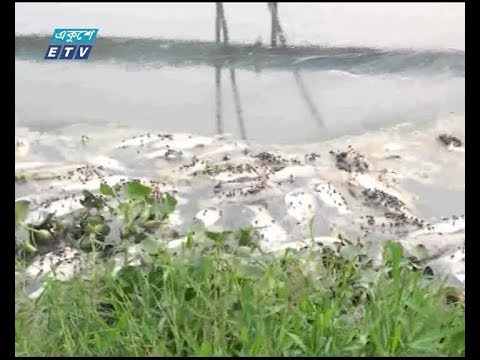 কলকারখানা ও ট্যানারী শিল্পের ভয়াবহ দূষণ