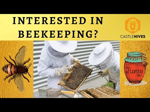 #beekeeping Becoming a Beekeeper, Where to Start - Part 1 ! !