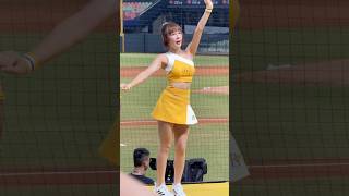 【Passion Sisters】#林可#夏蕾#勝利出擊#台湾チアリーディングチーム#中華職棒#CPBL#洲際棒球場#20240823