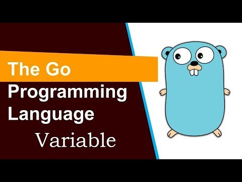 Go programming Tutorial 3 Variable हिन्दी