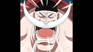 Download lagu The Strongest 🤍⚔️🔥 #whitebeard #onepiece mp3