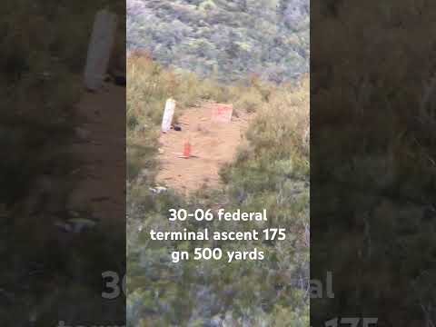 Federal Premium Terminal Ascent Hunting Bullet Review