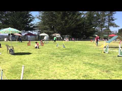 Starters Pairs Relay (14") - 2015-04-18