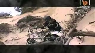 No One Wins Berzerker