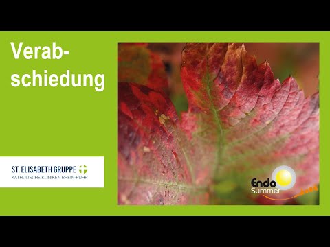 Endosummer 2021 – Neues aus Endoskopie und OP – Verabschiedung