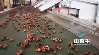 3 ton/hr Scrap Copper Aluminum Radiator Recycling Plant_Radiator Crushing and Separating Process