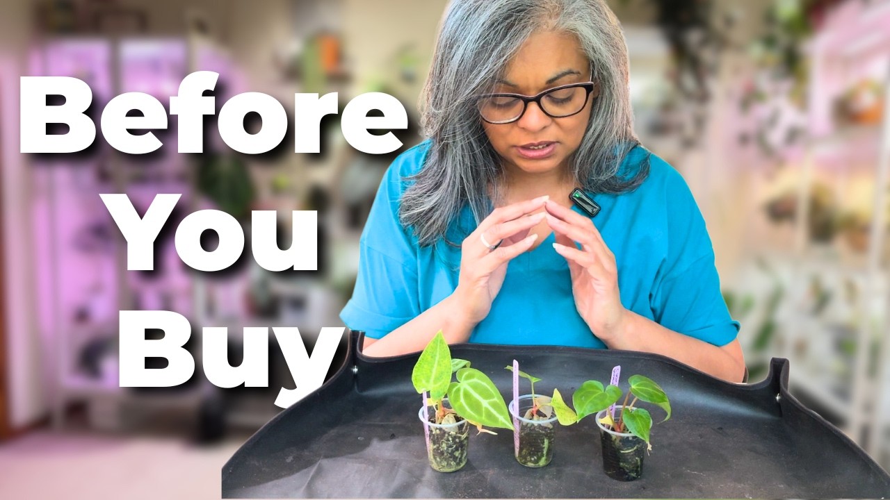 What to Know Before You Buy Plants on Etsy