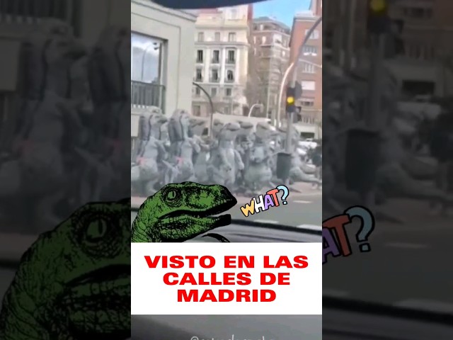 Vídeo relacionado con W WIDMANN MILANO Party Fashion - Mono de dinosaurio para adultos, mono de felpa verde con capucha, disfraz de animal para carnaval