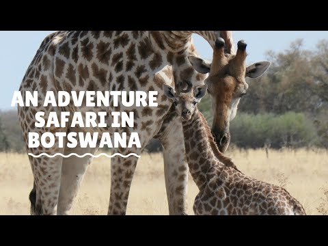 Adventure Safari with Brave Africa