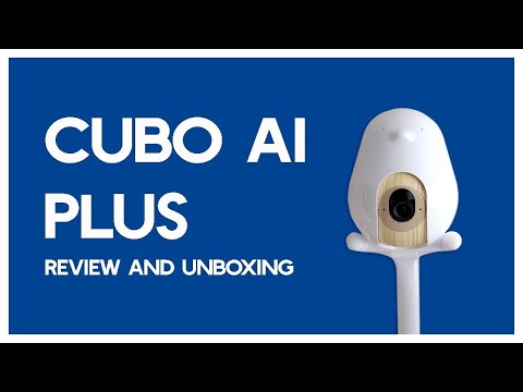 An in-depth Cubo AI Plus Review [new for 2021]