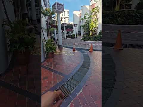 The Sunny Spring, 50 Lorong 40 Geylang, Room Rental, 200 sqft, Apartment For Rent, by Steve Voon, 500178680 - PropertyGuru.com.sg