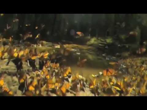 IL PIU' GRANDE DISCORSO MAI PRONUNCIATO ALL'UMANITA' - CHARLIE CHAPLIN