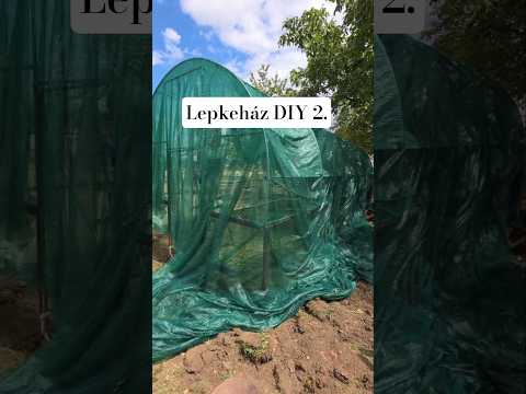 Lepkeház építés 2. rész #lepkekert #butterflygarden #butterfly #lepketartás