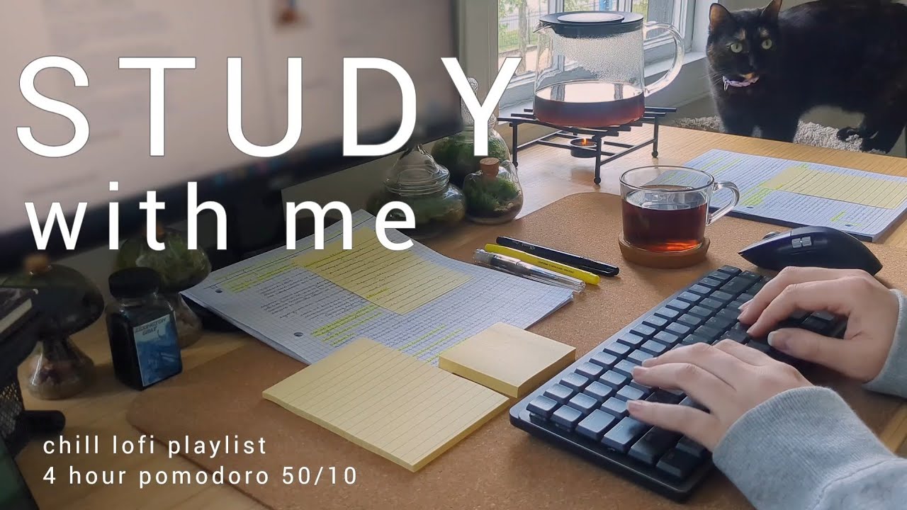 4 HOUR STUDY WITH ME 📚📖 chill lofi playlist | pomodoro 50/10