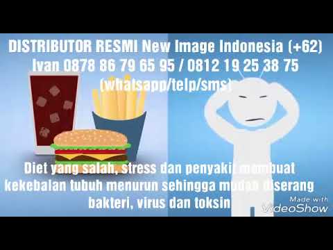 Tetes potensi alam Lebah potensi pengobatan