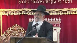 038רוממות התפילה-מפרשת ציצית ועד אמת ויצב (הרב יורם סרי) - התמונה מוצגת ישירות מתוך אתר האינטרנט יוטיוב. זכויות היוצרים בתמונה שייכות ליוצרה. קישור קרדיט למקור התוכן נמצא בתוך דף הסרטון