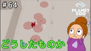いつまでもゴミ問題がつきまとう《プラネットズー/初見》女性実況 #64