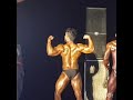 Essa shabibi bodybuilder