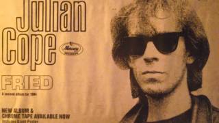 the teardrop explodes live at st austell 1982 - the culture bunker