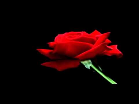 KANCELARIA   Zabiorę Cię właśnie tam