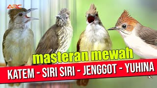 Download lagu MASTERAN KAPAS TEMBAK - SIRI SIRI - CUCAK JENGGOT - YUHINA mp3 Download lagu MASTERAN KAPAS TEMBAK - SIRI SIRI - CUCAK JENGGOT - YUHINA mp3