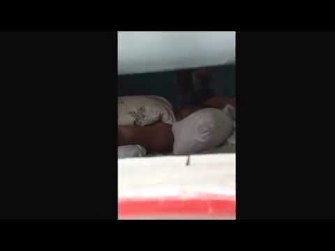 Koe aga ena hono fafagu e fga kuma lol