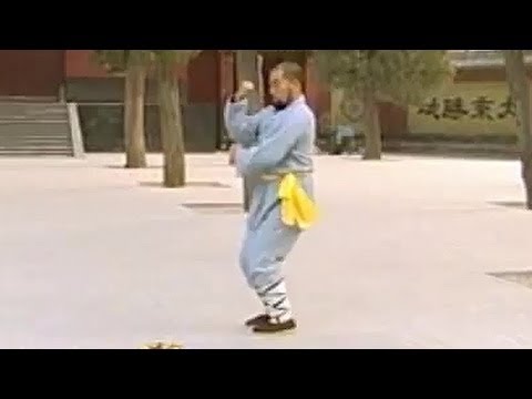 Shaolin small power (pao quan) aka. iron arm kung fu (tie bi quan)